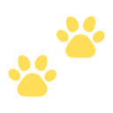 1582795_animal_paw_track_wild_icon-2